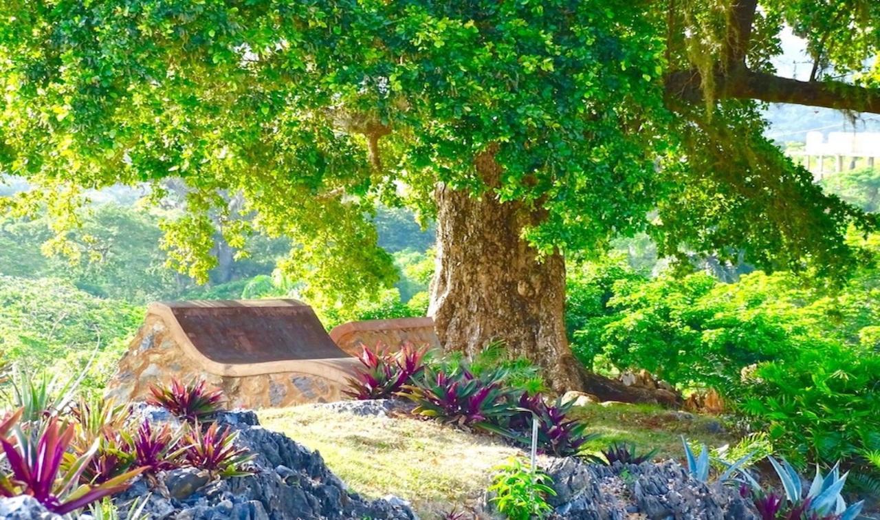 Las Galeras Village Ecolodge Dış mekan fotoğraf